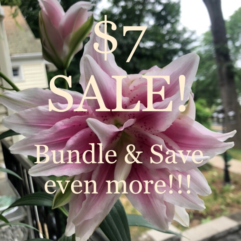 🌸SALE!🌸